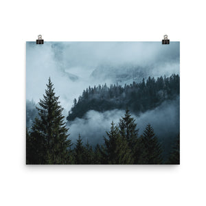 Forest Layers