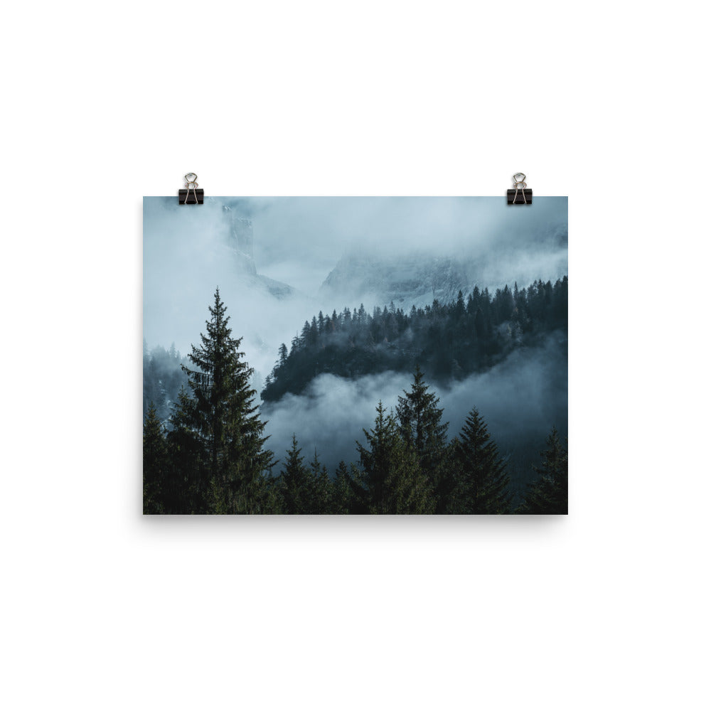 Forest Layers