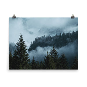 Forest Layers