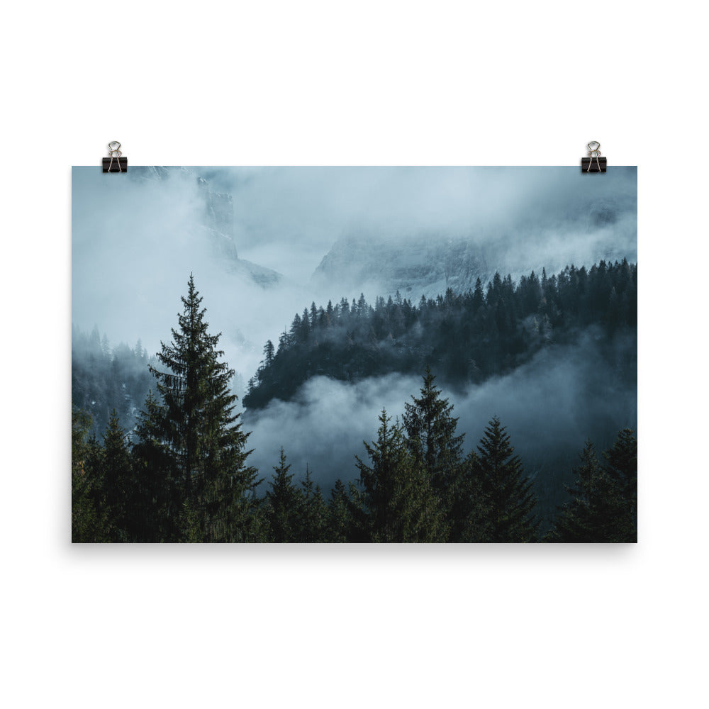 Forest Layers